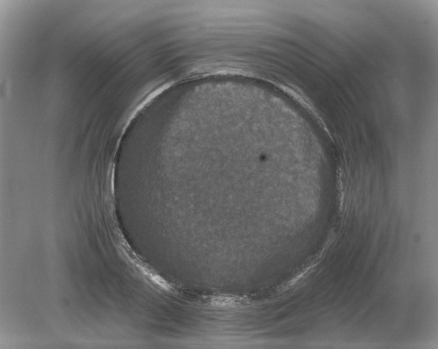 X0000078860790200612041931