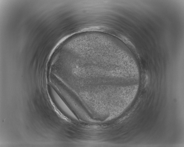 X0000078860792200612041931