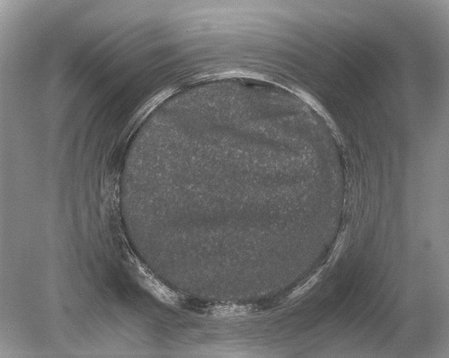 X0000078860793200612041931