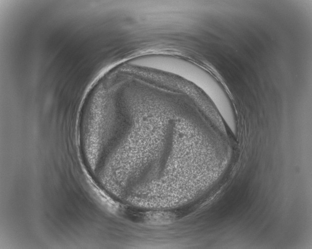 X0000078860795200612041931