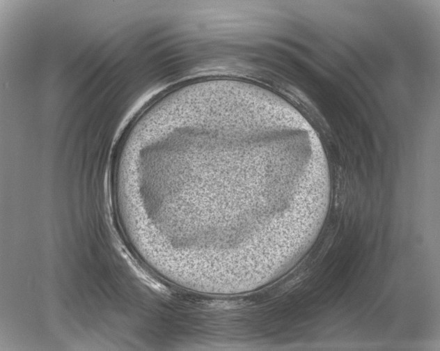 X0000078860796200612041931