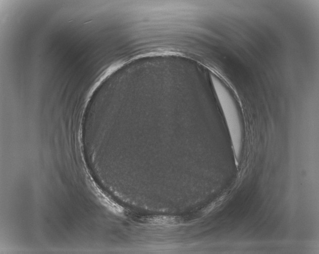 X0000078860797200612041931