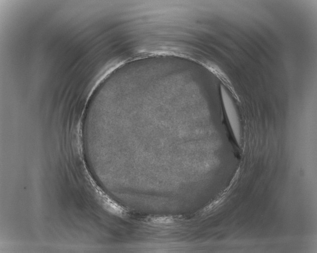 X0000078860798200612041931