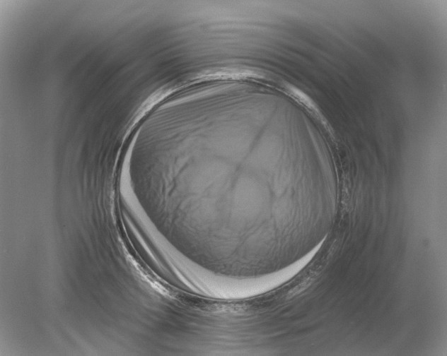 X0000078860802200612041931