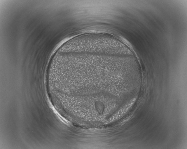 X0000078860803200612041931