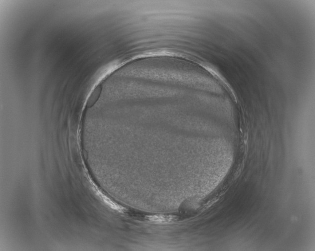 X0000078860805200612041930