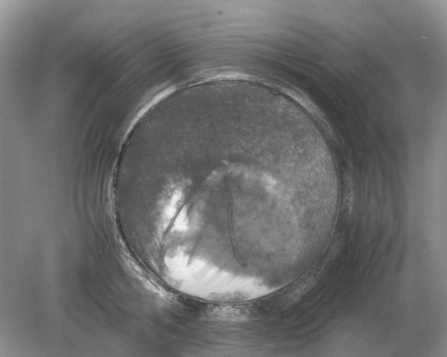 X0000078860806200612041930