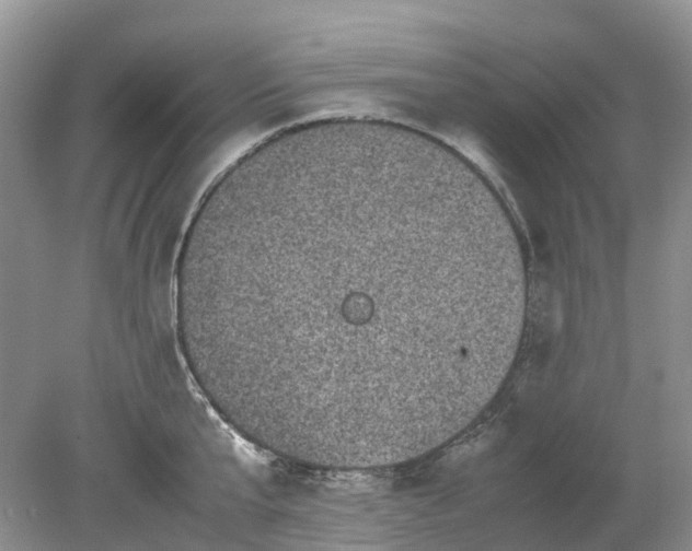 X0000078860807200612041930