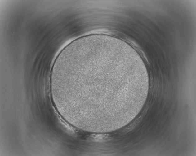 X0000078860808200612041930