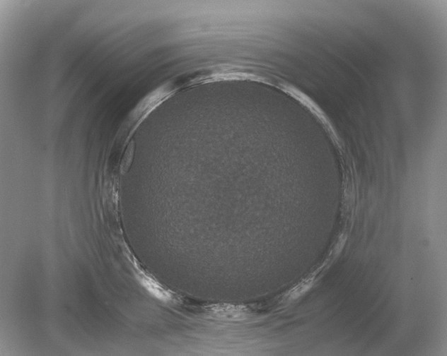 X0000078860809200612041930