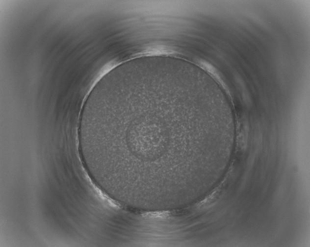 X0000078860810200612041930