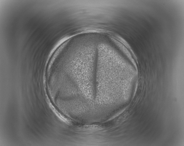 X0000078860811200612041930