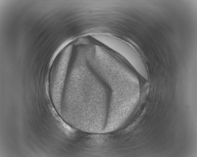 X0000078860812200612041930