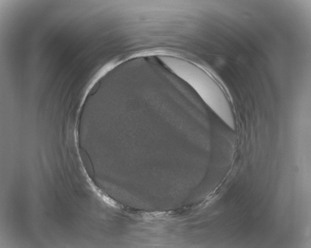 X0000078860813200612041930