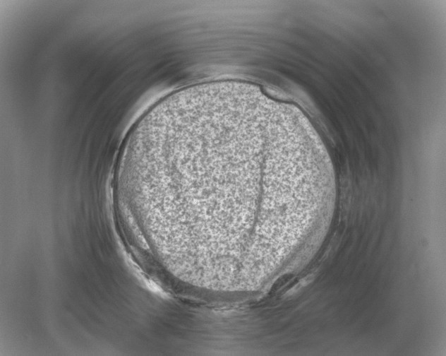 X0000078860814200612041930