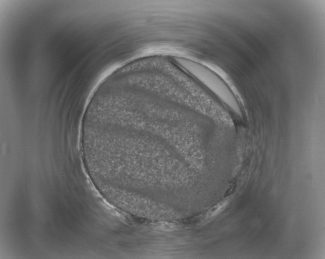 X0000078860815200612041930