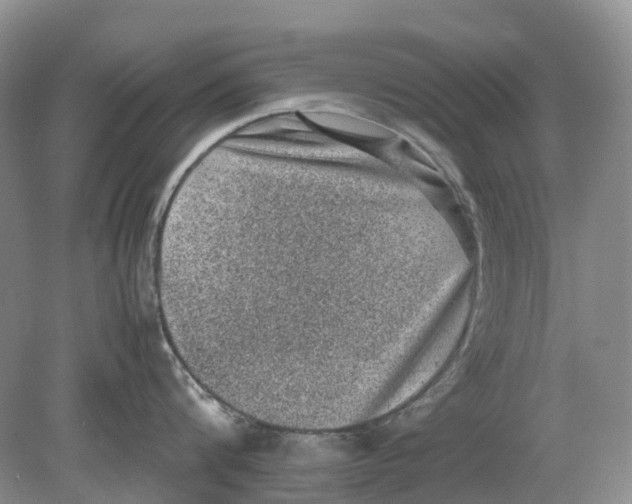 X0000078860816200612041930