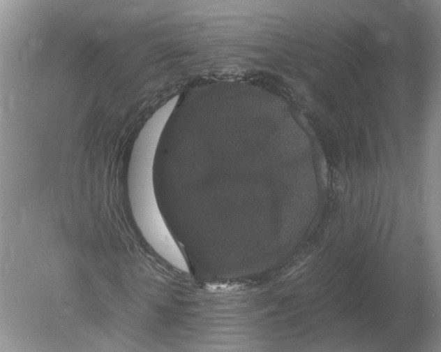 X0000078860818200612041930