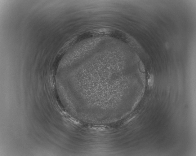 X0000078860819200612041930