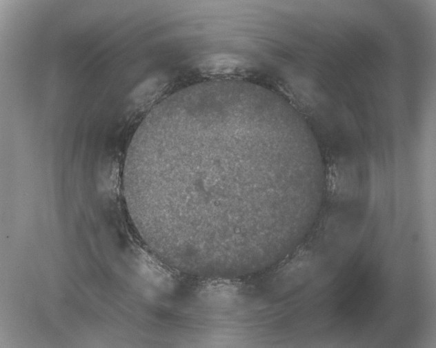 X0000078860820200612041930