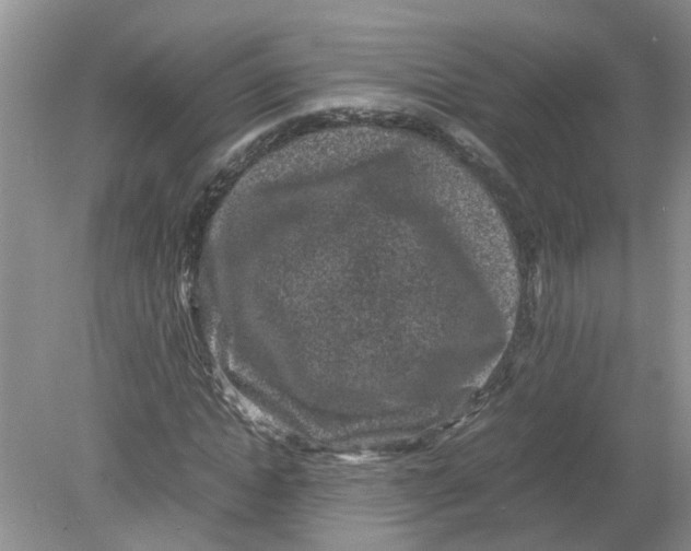 X0000078860822200612041930