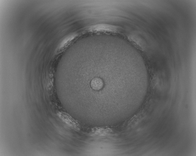 X0000078860824200612041930