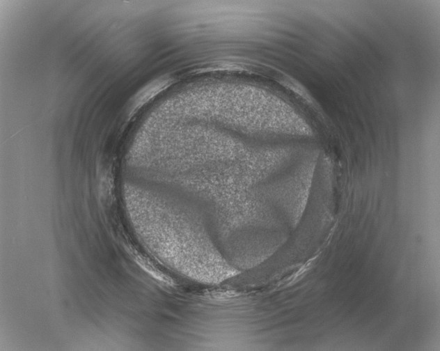 X0000078860826200612041930