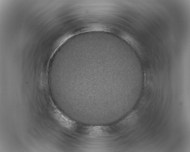 X0000078860828200612041930