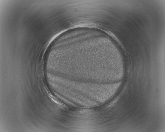 X0000078860830200612041930