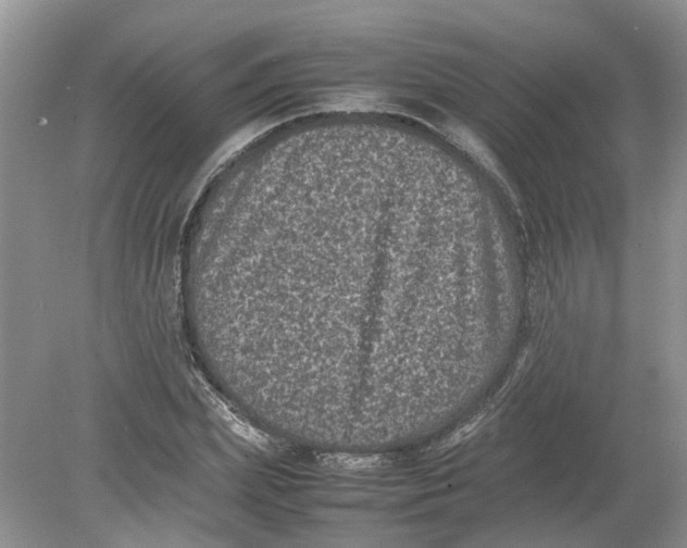 X0000078860831200612041930