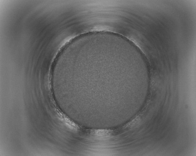 X0000078860832200612041930