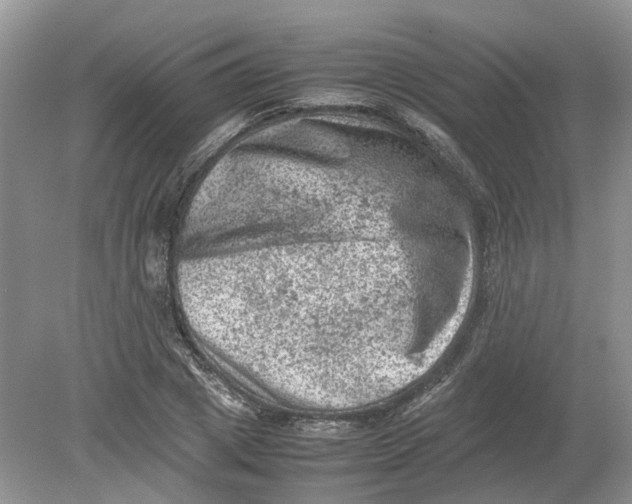 X0000078860833200612041930