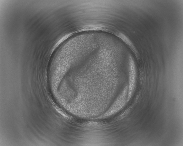 X0000078860834200612041930