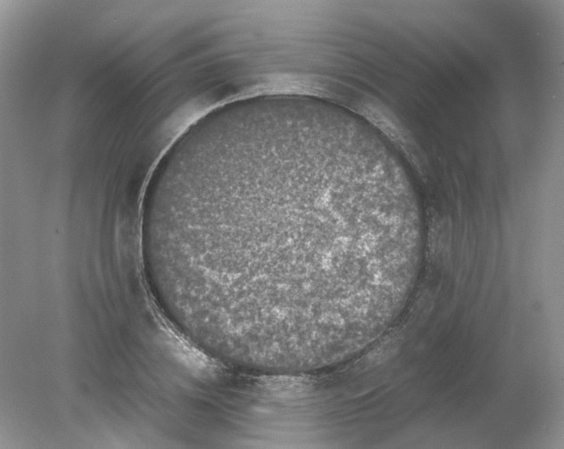 X0000078860836200612041930