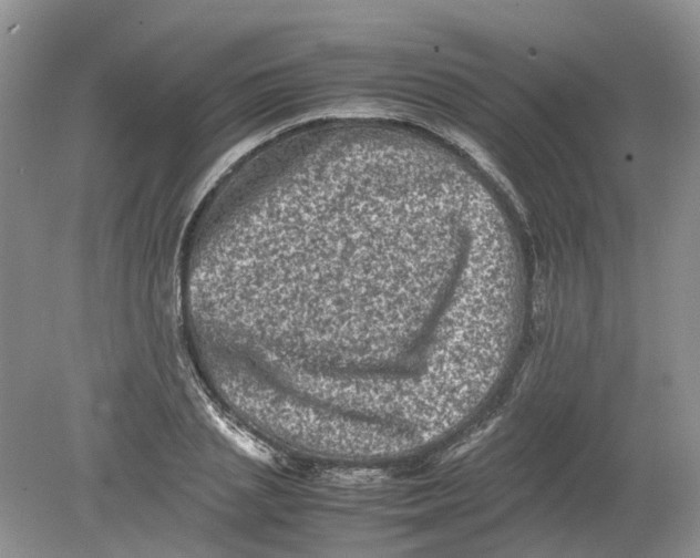 X0000078860837200612041930