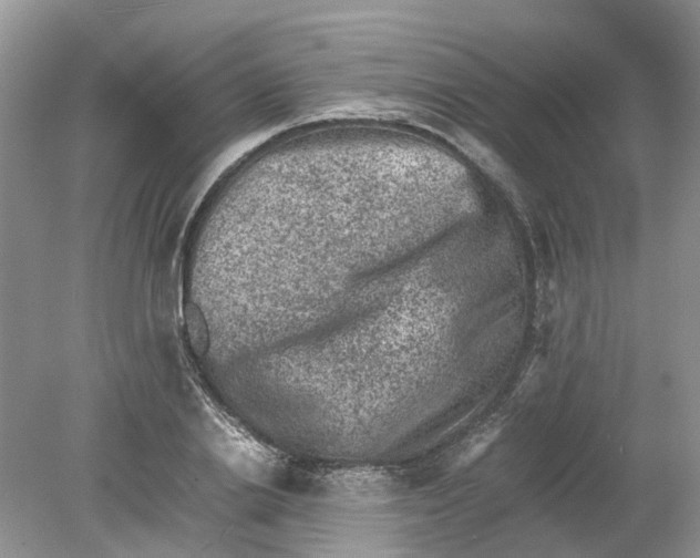 X0000078860838200612041930