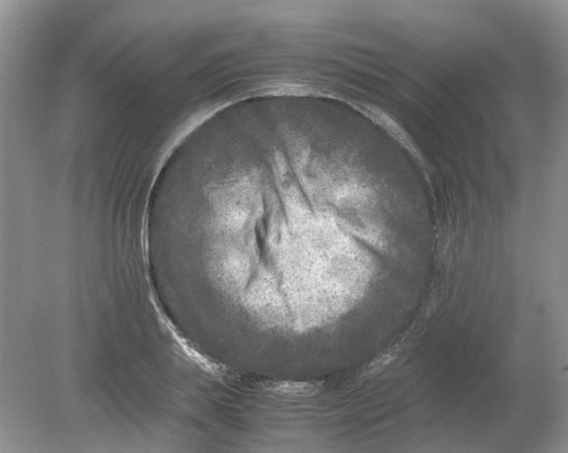 X0000078860839200612041930