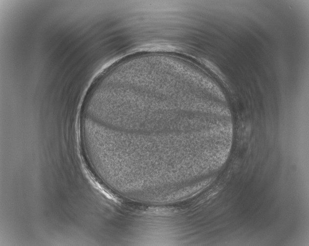 X0000078860840200612041930