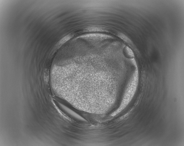 X0000078860841200612041930