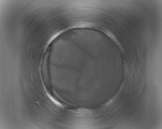 X0000078860842200612041930