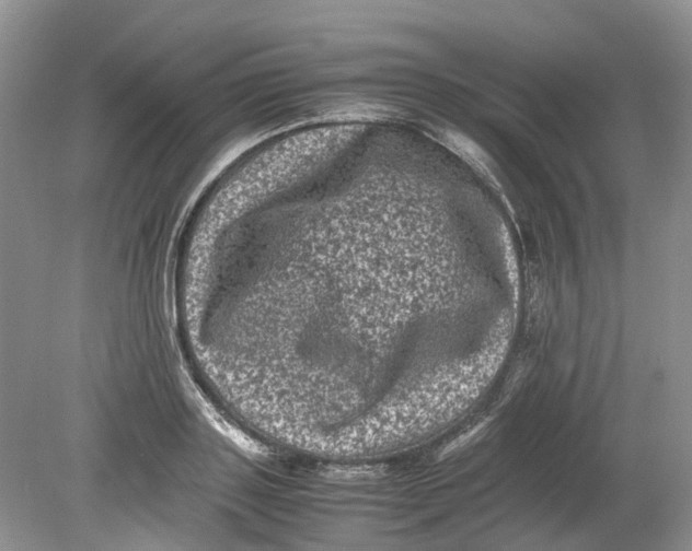 X0000078860843200612041930