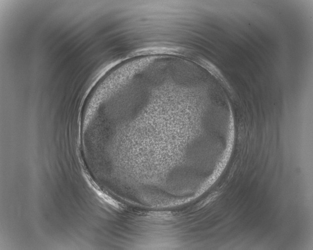 X0000078860844200612041930