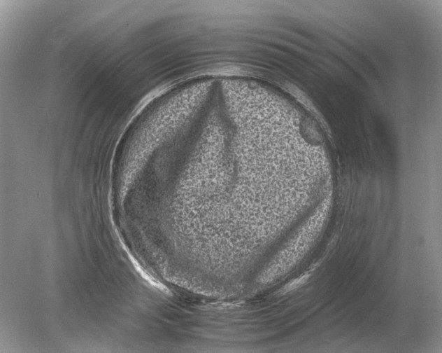 X0000078860845200612041930