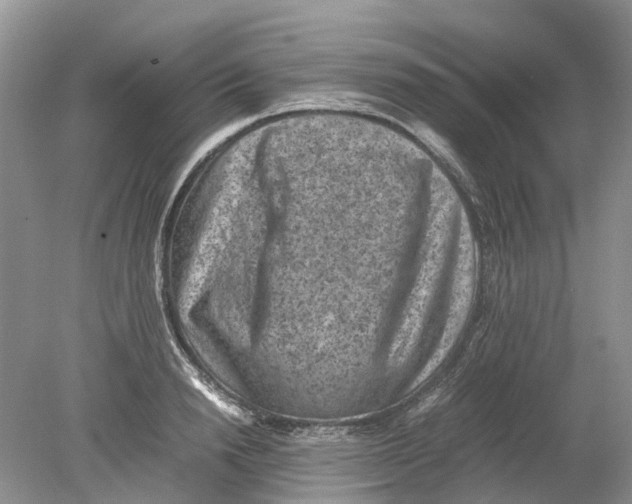 X0000078860846200612041930