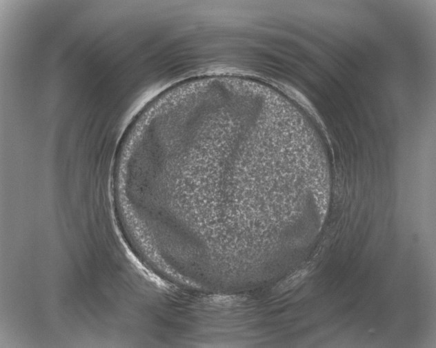 X0000078860847200612041930