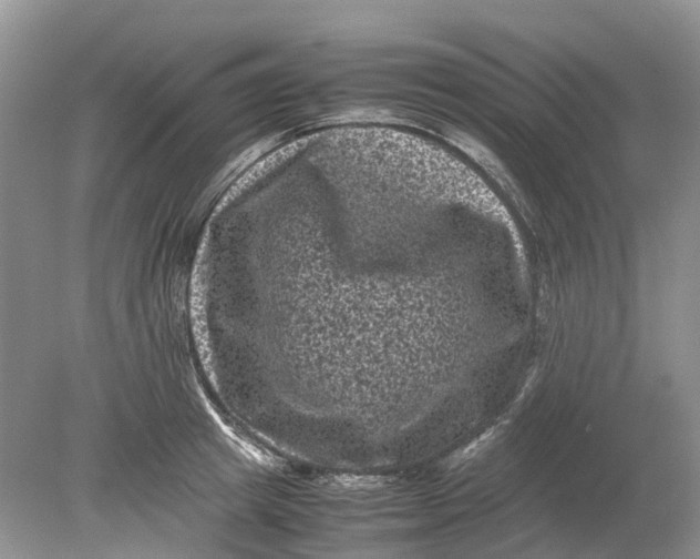 X0000078860849200612041930