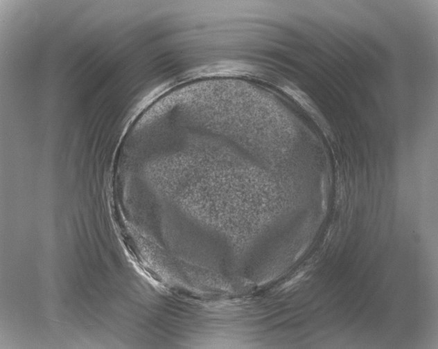 X0000078860850200612041930