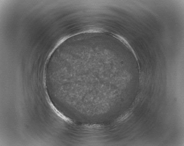 X0000078860851200612041930