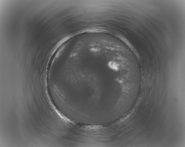 X0000078860853200612041930