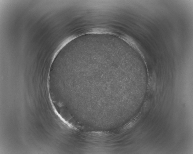 X0000078860855200612041930